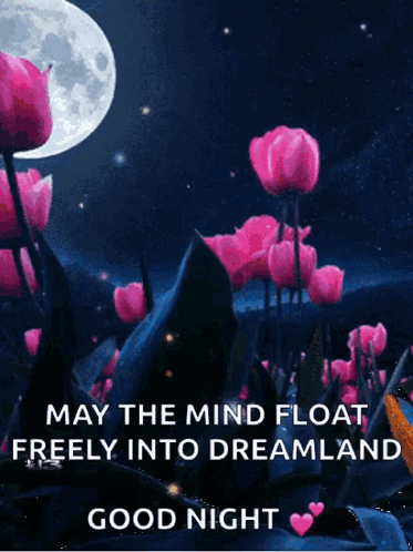 A Good Night Message With Flowers And A Full Moon GIF