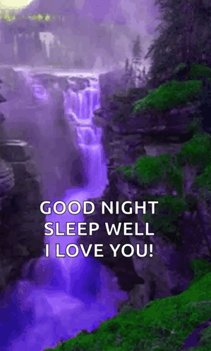 a good night sleep well i love you !