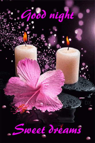 A Good Night Sweet Dreams Greeting Card With Candles And Flowers GIF