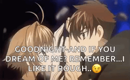 A Goodnight And If You Dream Of Me ? Remember ... I Like It Rough ... GIF