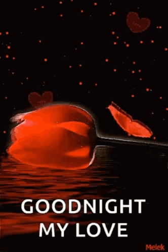 A Goodnight My Love Greeting Card With A Red Flower And Hearts GIF