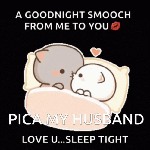 A Goodnight Smooch From Me To You Pica My Husband Love U Sleep Tight GIF