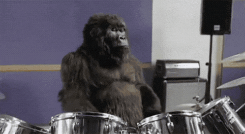 A Gorilla Is Playing Drums In A Room In Front Of A Purple Wall . GIF