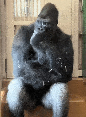 A Gorilla Is Sitting On A Wooden Block With His Hands On His Chin GIF