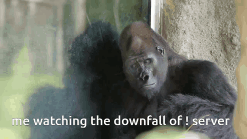 a gorilla with the words me watching the downfall of server above it