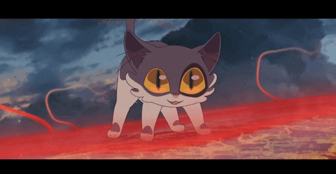 A Gray And White Cat With Big Yellow Eyes Is Standing In A Red Area GIF