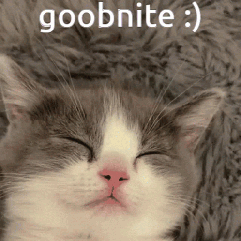 A Gray And White Cat With Its Eyes Closed And The Words Goobnite Above It GIF