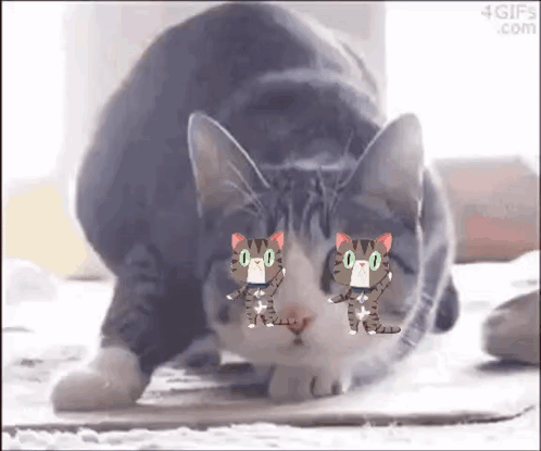 A Gray And White Cat With Two Cartoon Cats On Its Face Is Laying On The Floor . GIF