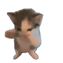 a gray and white kitten is standing on its hind legs and looking at the camera .