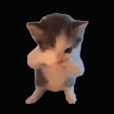 A Gray And White Kitten Is Standing On Its Hind Legs On A Black Background GIF