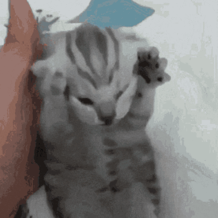 A Gray Cat Is Laying On A White Blanket GIF
