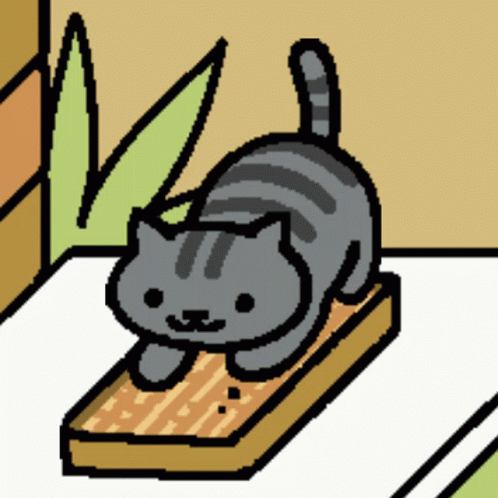 A Gray Cat Is Standing On A Wooden Plank GIF