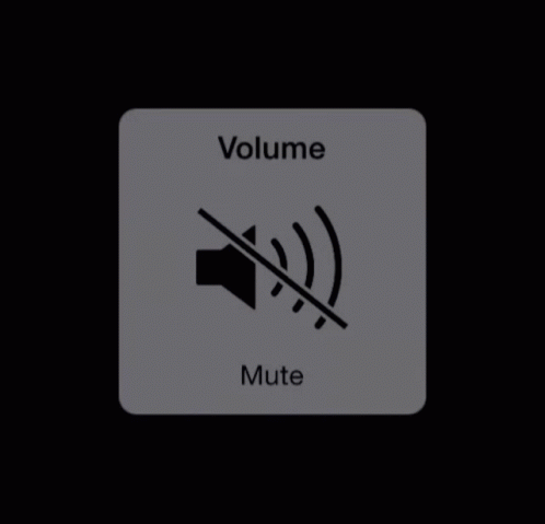 A Gray Volume Button With A Black Speaker On It GIF