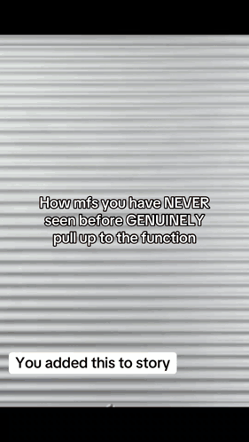 a gray wall with a quote on it that says `` how mis you have never seen before genuinely pull up to the function '' .