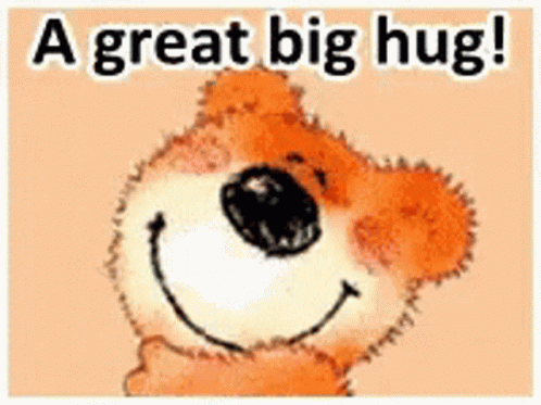 A Great Big Hugs From Me GIF