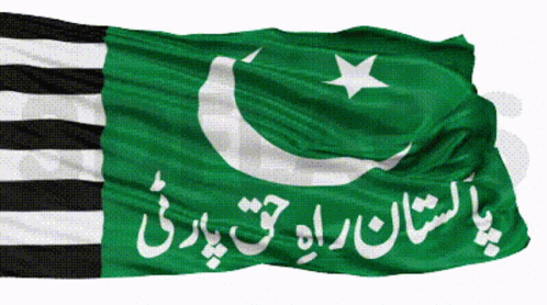 A Green And Black Flag With Arabic Writing GIF