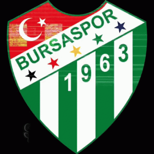 A Green And White Badge With The Year 1963 On It GIF