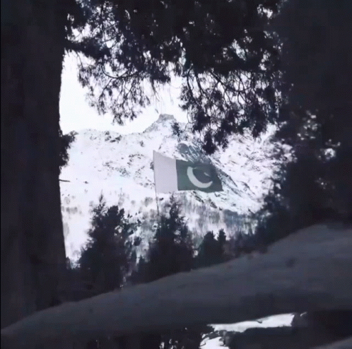 A Green And White Flag Is Flying In Front Of A Snow Covered Mountain GIF