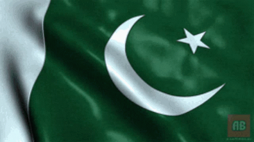 A Green And White Flag With A Crescent Moon And A Star GIF