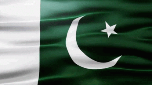 A Green And White Flag With A Star And Crescent Moon GIF