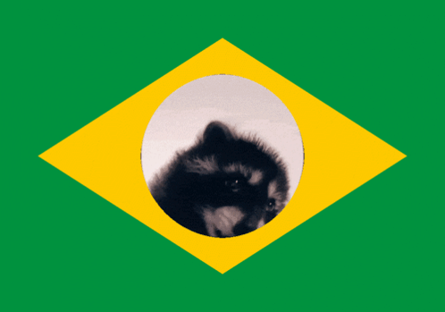 a green and yellow flag with a raccoon in the center