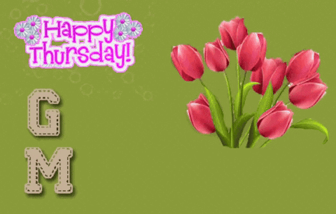 A Green Background With A Bunch Of Pink Flowers And The Words Happy Thursday Good Morning GIF