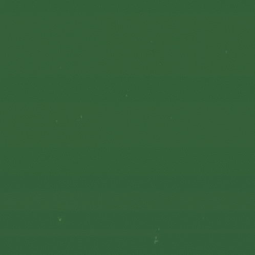 A Green Background With The Words Okay What Now Written In Pink GIF