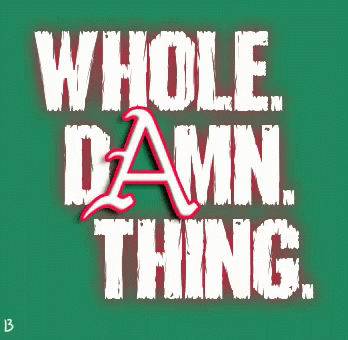 A Green Background With The Words Whole Damn Thing In White Letters GIF