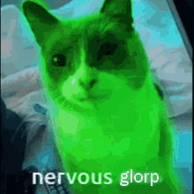 A Green Cat Is Sitting On A Bed With The Words `` Nervous Glorp '' Written On It . GIF