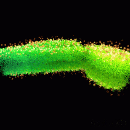 A Green Christmas Tree Is Surrounded By Yellow And Orange Stars GIF