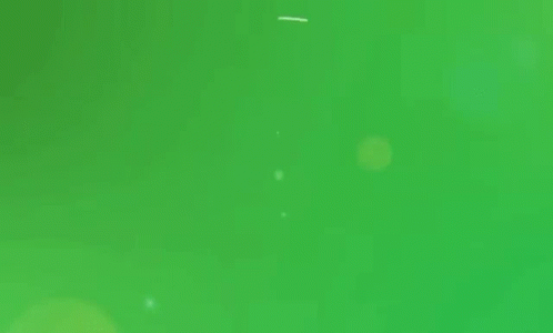 A Green Circle With The Word Green In White Letters GIF