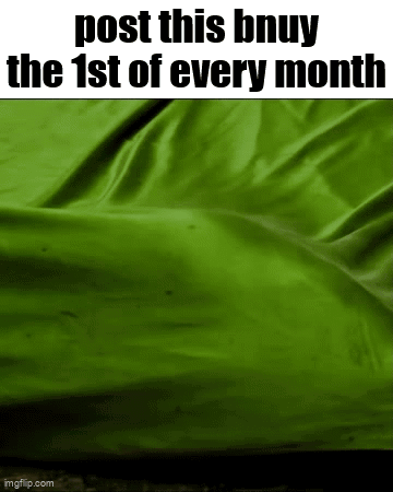 A Green Cloth With The Words `` Post This Bhuy The 1St Of Every Month '' On It . GIF