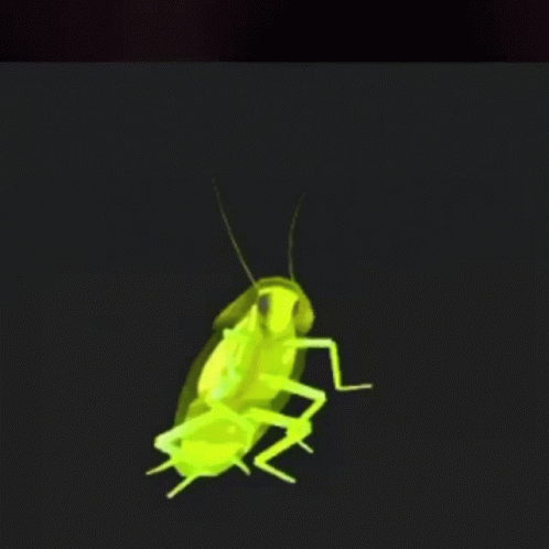 A Green Cockroach Is Crawling On A Black Background GIF
