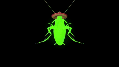 A Green Cockroach Is Wearing A Sombrero On Its Head GIF