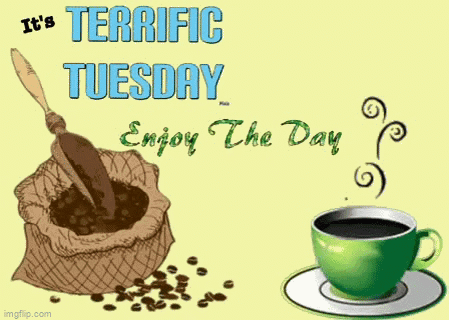 a green cup of coffee sits next to a bag of coffee beans on a saucer .