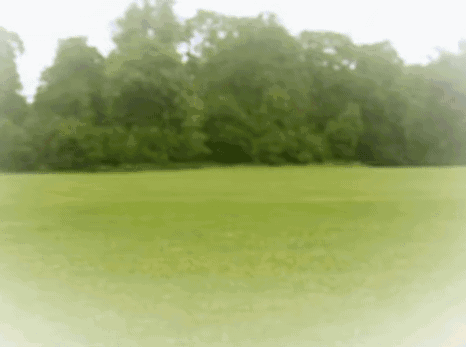 A Green Field With Trees In The Background And A White Border GIF