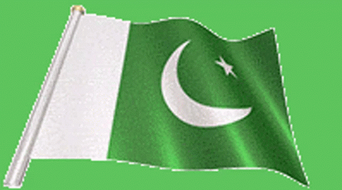 A Green Flag With A White Crescent Moon And Star GIF