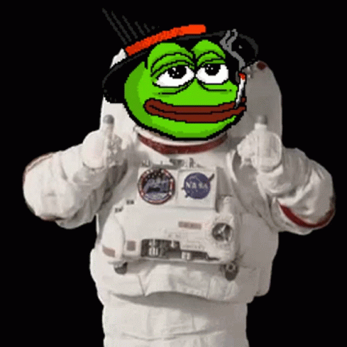 a green frog is wearing a nasa space suit and giving a thumbs up