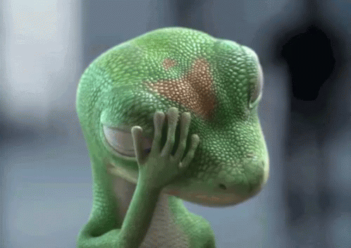 A Green Lizard Is Covering Its Face With Its Hands GIF