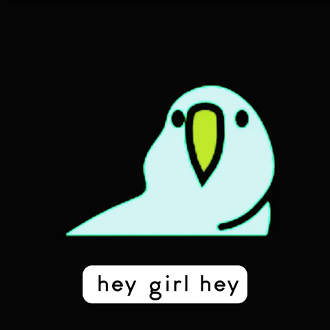 A Green Parrot Says " Hey Girl Hey " In A Black Background GIF