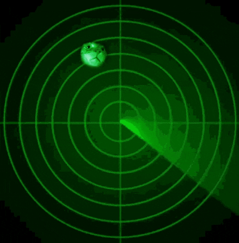 A Green Radar Screen Shows A Frog In The Center GIF
