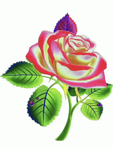 A Green Rose With Yellow Leaves On A Stem GIF