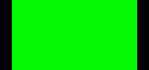 A Green Screen With The Word What On It GIF
