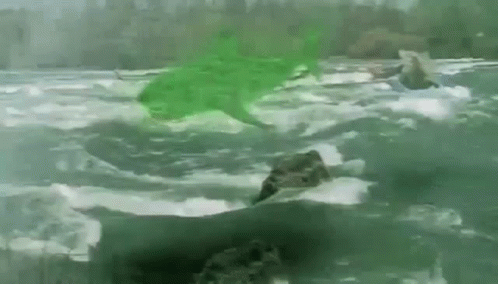 A Green Shark Is Swimming In A Body Of Water Next To A Rock . GIF