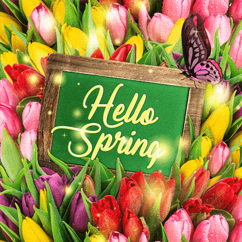 A Green Sign That Says Hello Spring Surrounded By Flowers GIF