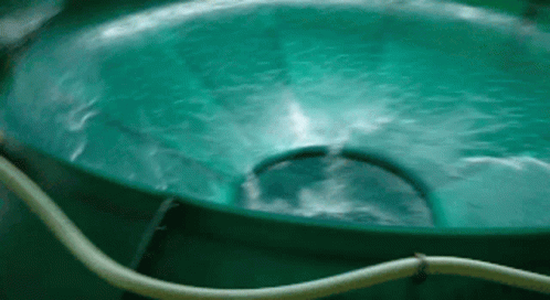 A Green Swimming Pool With A Yellow Hose Attached To The Side GIF