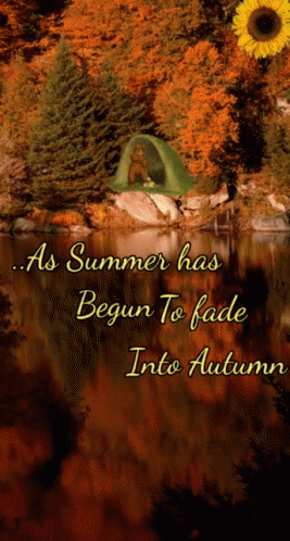 A Green Tent Sits On A Rock Near A Lake With A Sunflower In The Background GIF