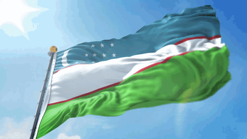 A Green White And Blue Flag With White Stars On It GIF