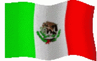 A Green White And Red Flag With A Mexican Emblem On It GIF