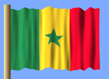 a green yellow and red flag with a star in the middle